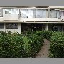 emporio-la-picha-vina-del-mar
