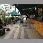 margarita-vina-del-mar