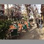 entremasas-vina-del-mar