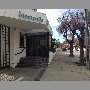 monterilla-vina-del-mar