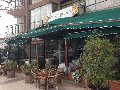 divino-pecado-vina-del-mar