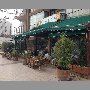 divino-pecado-vina-del-mar
