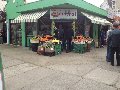 serfrut-vina-del-mar