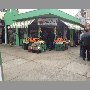 serfrut-vina-del-mar