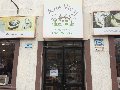 arte-vicar-vina-del-mar