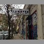 logotex-vina-del-mar