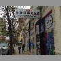 logotex-vina-del-mar
