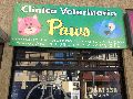 paws-vina-del-mar
