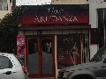 artidanza-vina-del-mar
