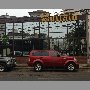 buffalo-vina-del-mar