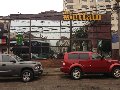 buffalo-vina-del-mar