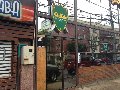 buffalo-vina-del-mar