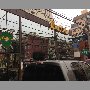 buffalo-vina-del-mar