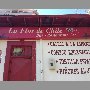 la-flor-de-chile-vina-del-mar