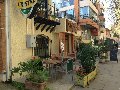da-elena-vina-del-mar