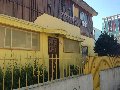 josefina-pina-vina-del-mar