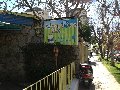 mis-primeros-pasos-vina-del-mar