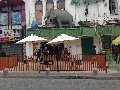 africa-vina-del-mar