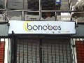 bonobos-bar-vina-del-mar