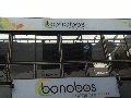 bonobos-bar-vina-del-mar