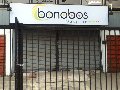 bonobos-bar-vina-del-mar