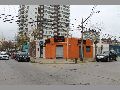 morena-vina-del-mar