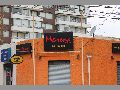 morena-vina-del-mar