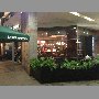 starbucks-las-condes-5