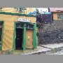 girasoles-de-valparaiso-valparaiso
