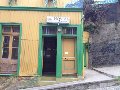 girasoles-de-valparaiso-valparaiso