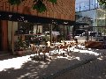 cafe-cultura-providencia