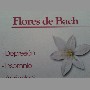 flores-de-bach-medicina-complementaria-vina-del-mar