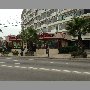 pizza-pizza-vina-del-mar