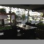 el-gran-golpe-vina-del-mar